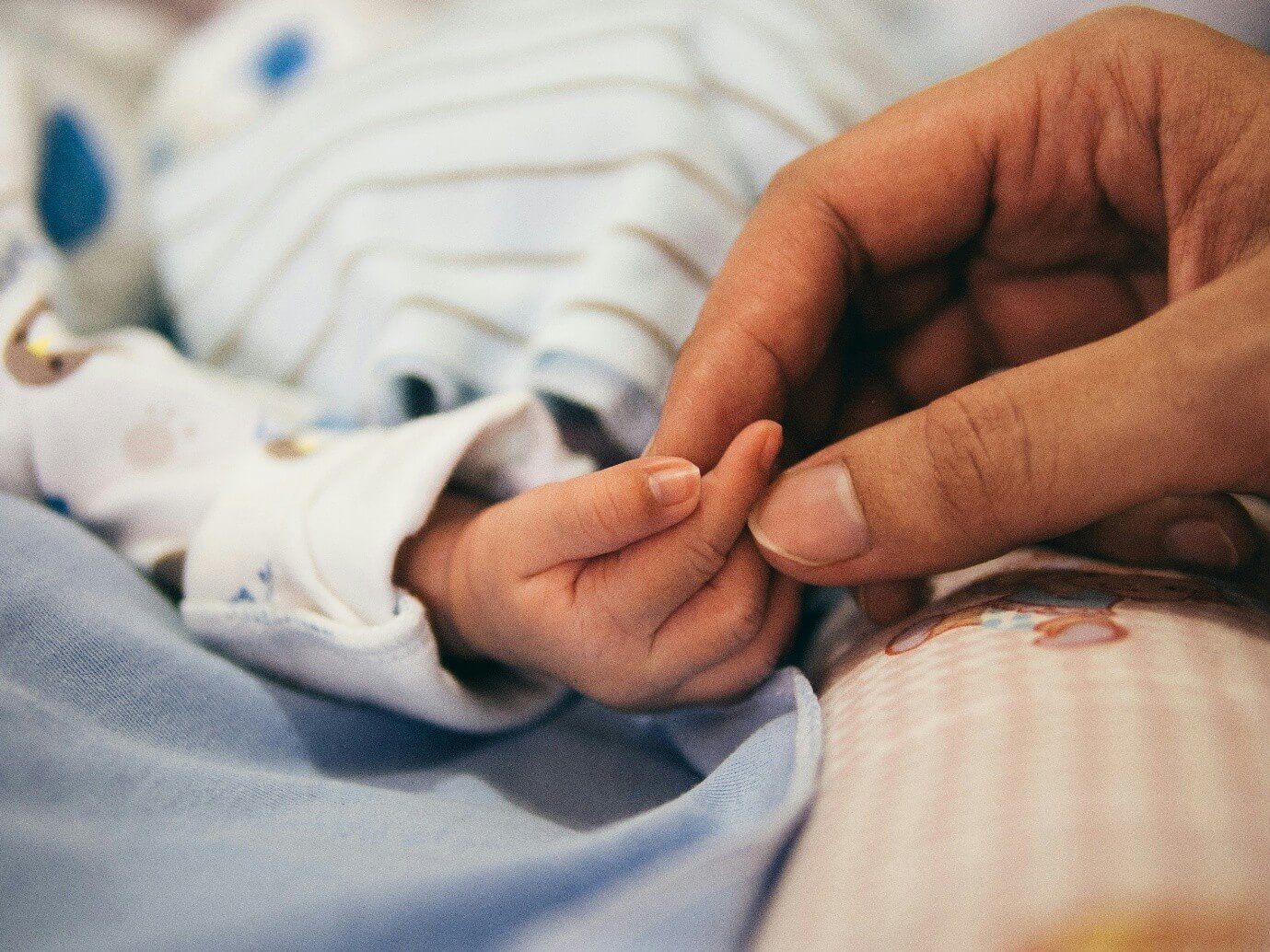 Declining Birth Rate and Housing