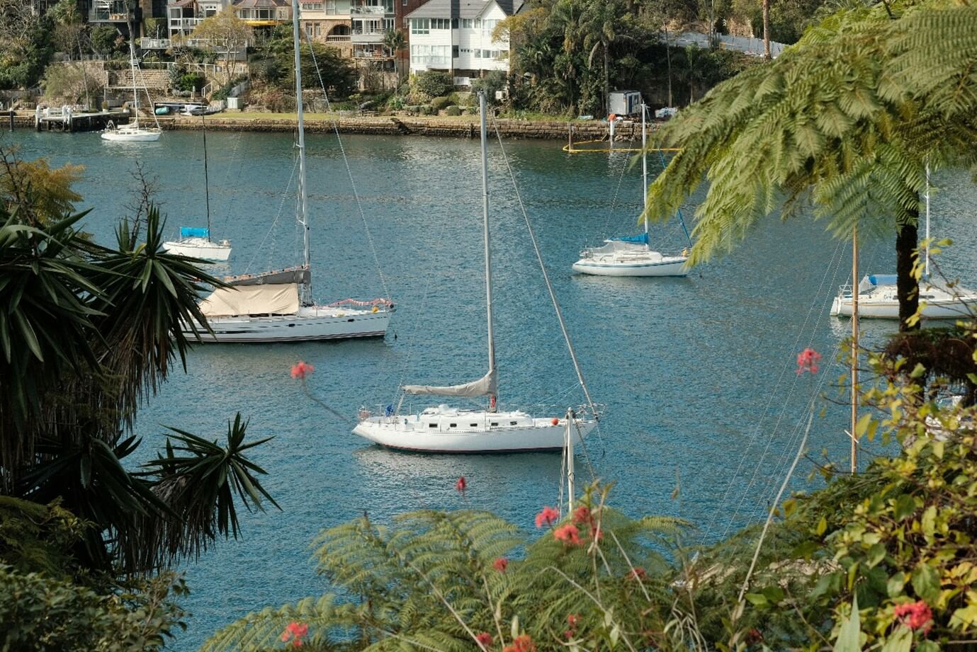 Australian House Prices 2025