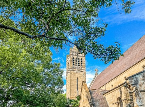 Exploring Glebe: Sydney's Eclectic Inner-City Gem