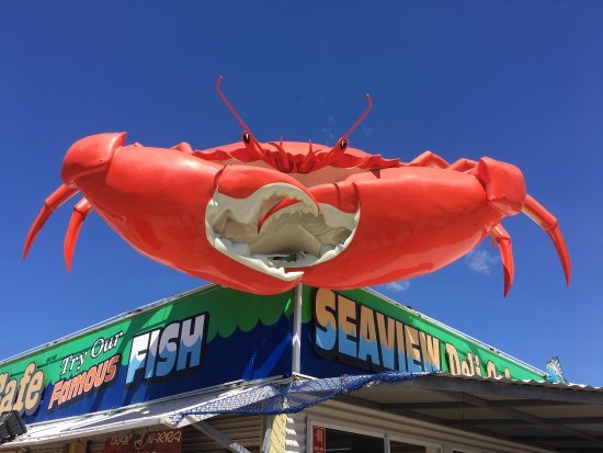 How To Get Your Claws On A Free Property Report And Find A $175,000 Home Like I Did