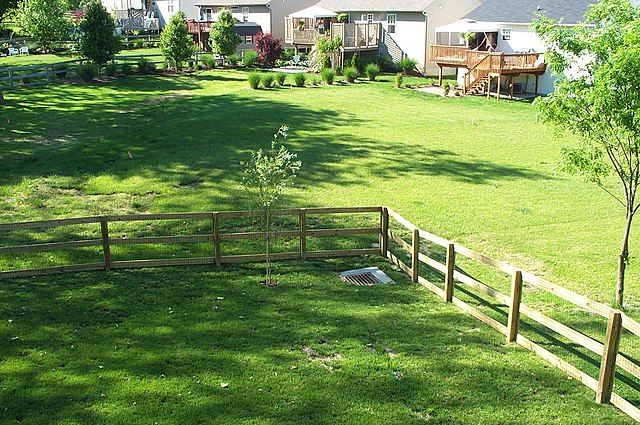 How your lifestyle helps sell your house to buyers