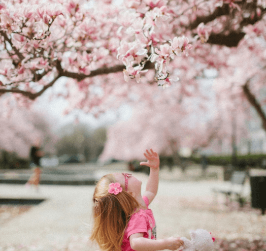 Seasonal Variations in Australian Property Listings