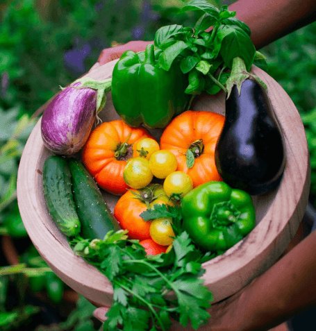 Tapping the Inner Environmentalist: Grow Your Own Food