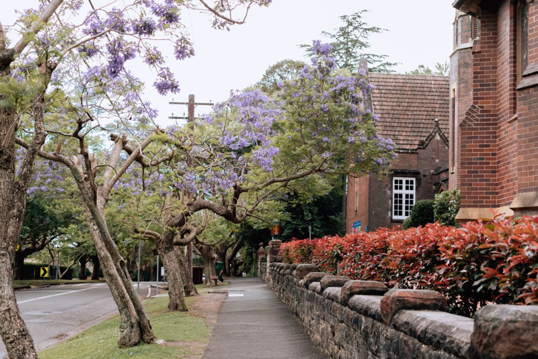 Wahroonga: Sydney’s Leafy Upper North Shore Sanctuary