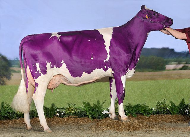Why home sellers right now need to find their purple cow